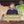 2022 Hochborn Riesling trocken | Lagenwein