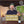 2022 OBSESSION Pinot Noir trocken | Ortswein